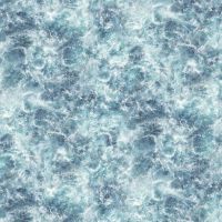 ttBEACH-CD3975 OCEAN